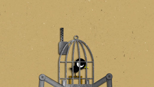 Bird Cage